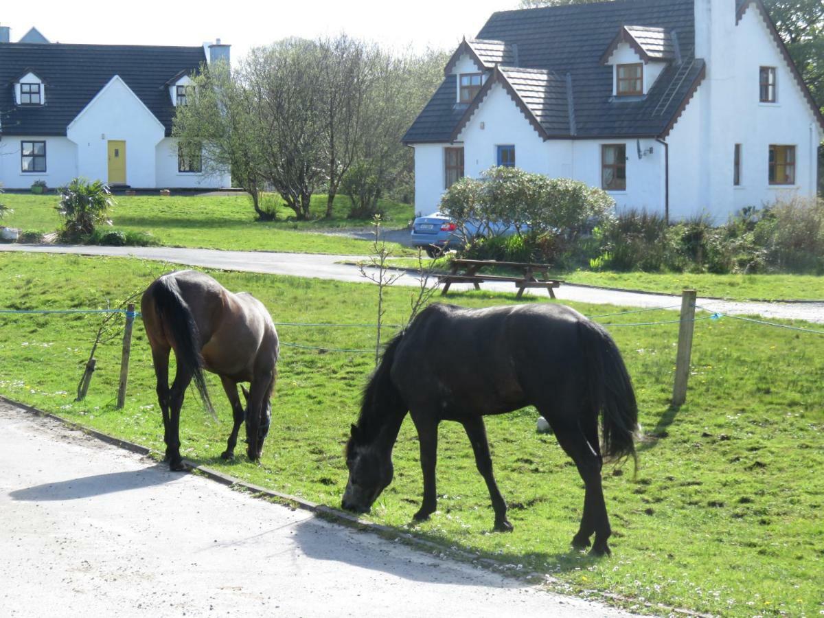 Letterfrack Farm Cottage In Village On A Farm Beside Connemara National Park Eksteriør bilde